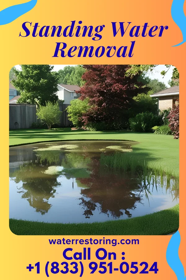 Standing Water Removal in Carleton, NE
